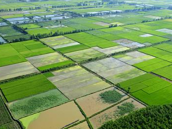 浙江省農田建設項目管理實(shí)施辦法即將實(shí)施