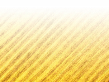 智能農機、“訂單”服務(wù)、“云端”種菜——來(lái)自江西的春耕“新事”